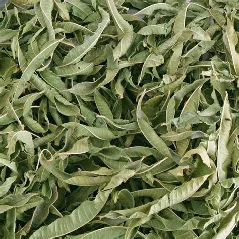 Verveine لويزة